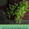 Health Benefits of Oregano