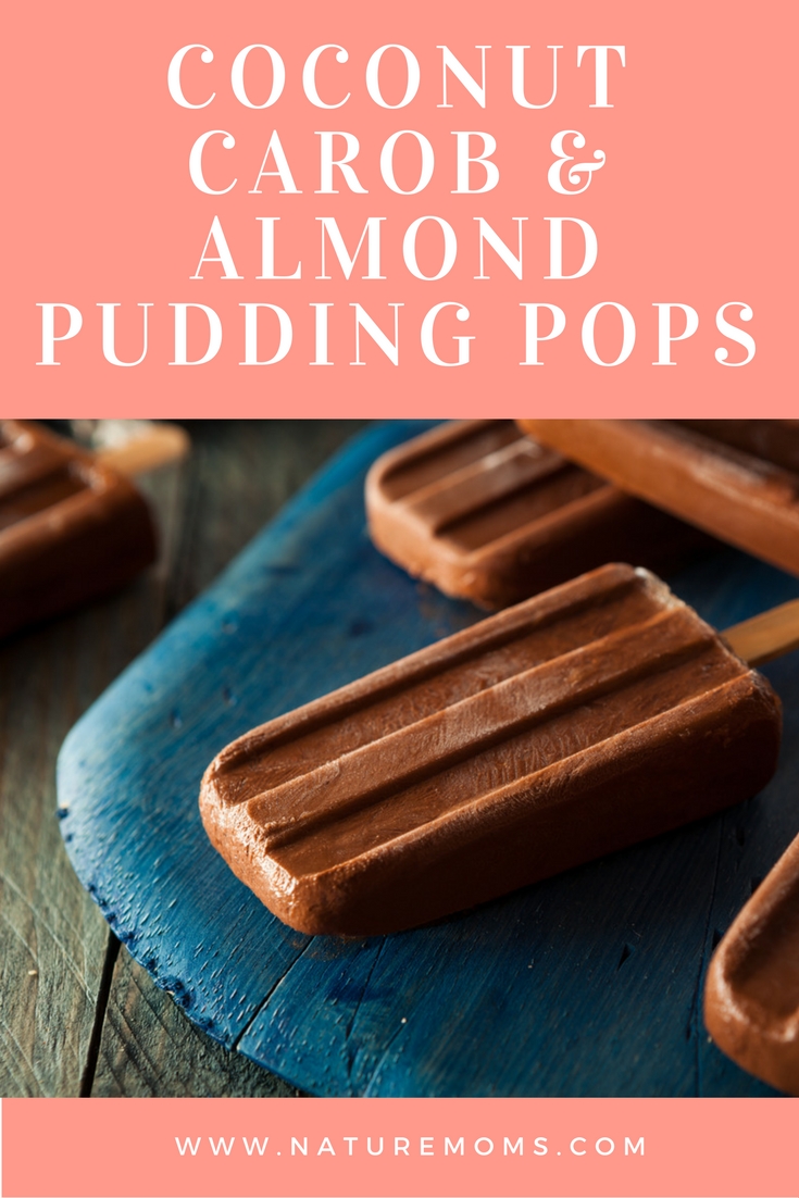 Coconut Carob and Almond Pudding Pops