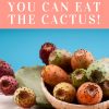 Eating Local – Yes You Can Eat the Cactus