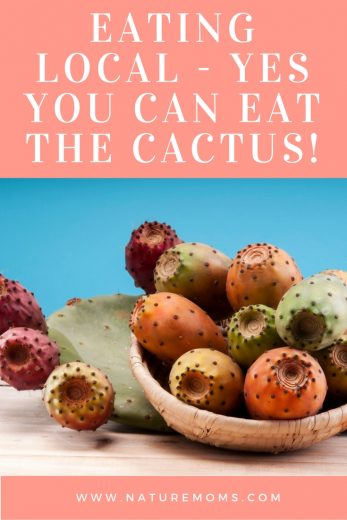 Eating Local – Yes You Can Eat the Cactus