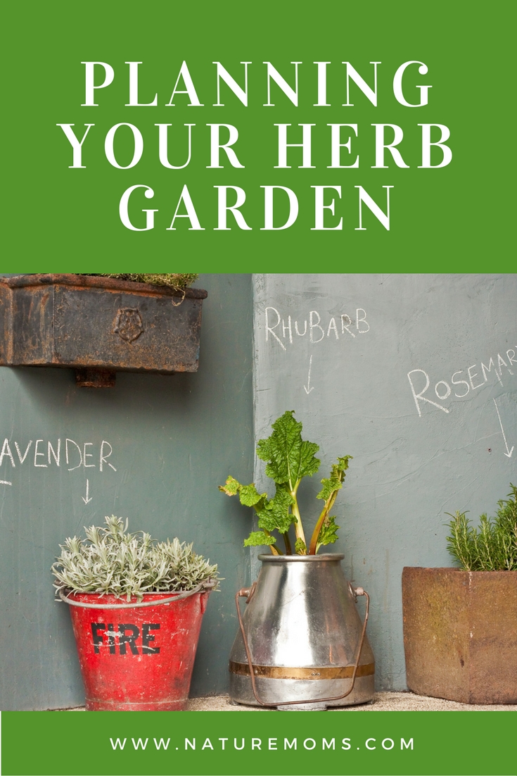 planning your herb garden