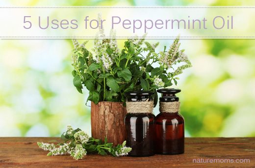 5 Uses for Peppermint Oil