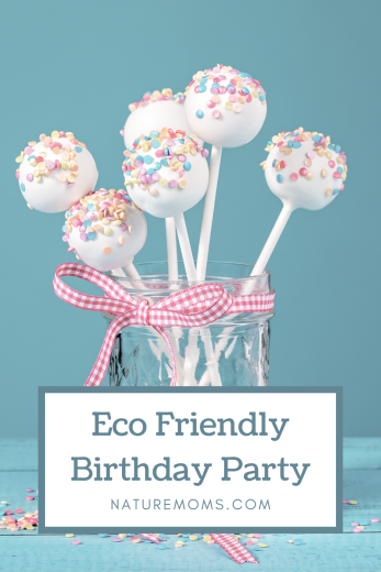 Eco Friendly Birthday Party