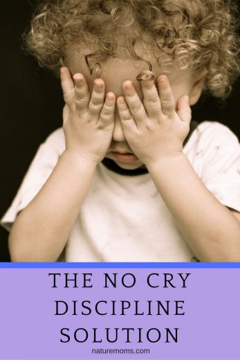 The No Cry Discipline Solution