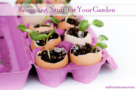 Green seedlings growing out of soil in egg shells