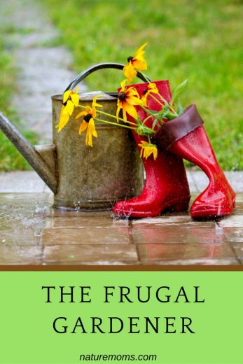 The 15 Best Frugal Gardening Tips