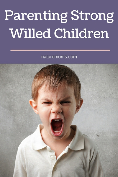 Parenting Strong Willed Children