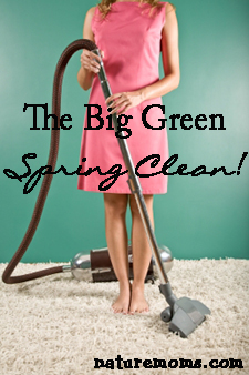 The Big Green Spring Clean