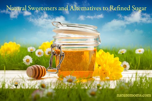 Natural Sweeteners and Alternatives to Refined Sugar