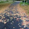 Eco Friendly Fall Clean-Up