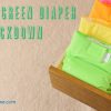 The Green Diaper Smackdown