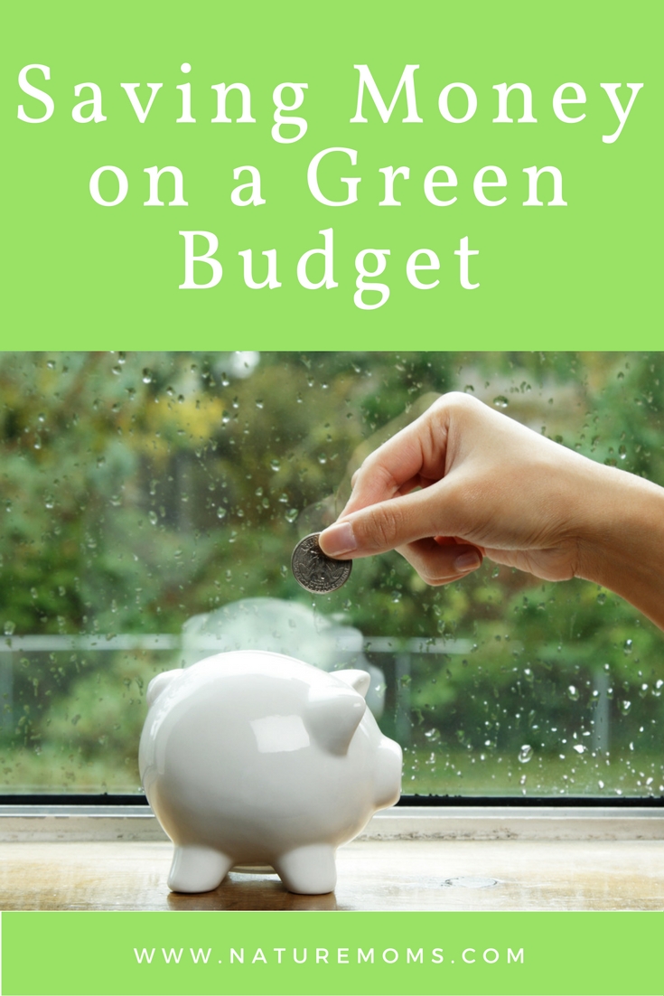 saving-money-on-a-green-budget