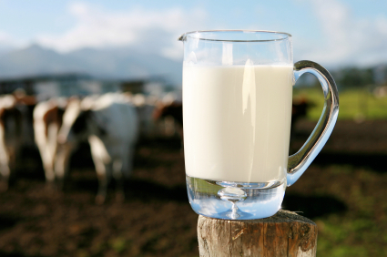 Finding Raw Milk Is Like Finding Gold