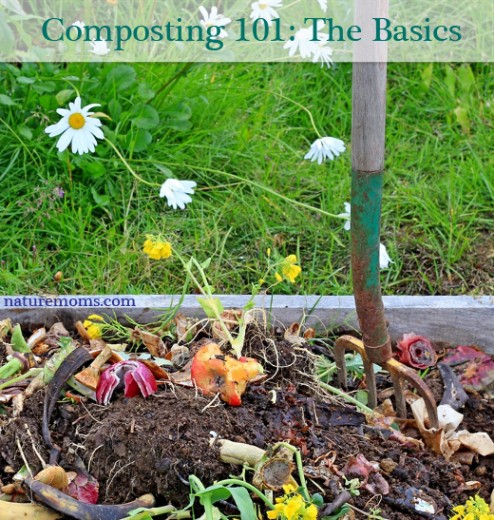 Composting 101 The Basics