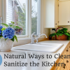 5 Natural Ways to Clean and Sanitize Kitchen Surfaces