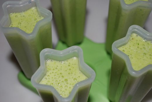 BPA Free Popsicle Molds for Summer!