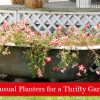 Unusual Planters for a Thrifty Garden