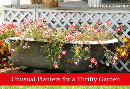 Unusual Planters for a Thrifty Garden
