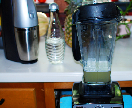 Vita-Mix 5200 – BPA Free Blender