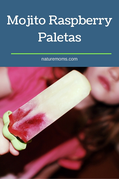 Mojito Raspberry Paletas pin