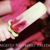 Mojito Raspberry Paletas