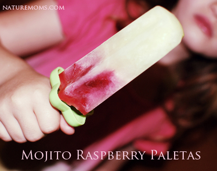 Mojito Raspberry Paletas