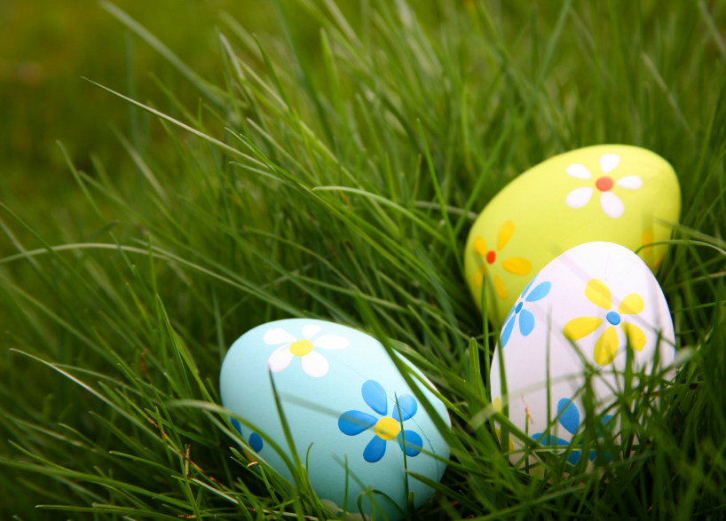 Easter Eggs Nature Moms