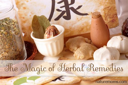 The Magic of Herbal Remedies