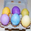 Eco Eggs – Natural Easter Egg Coloring Kit