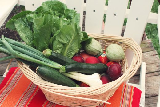 A New Type of CSA -Backyard Gardener