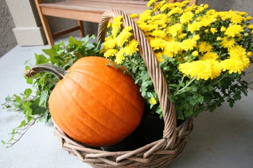 fall gardening