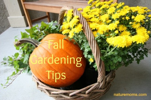 Fall Gardening Tips