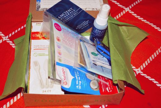 January Conscious Box