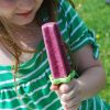 Nourishing Coconut Berry Smoothies and Popsicles