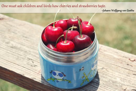 How cherries and strawberries taste… Wordless Wednesday