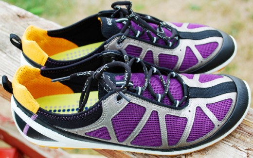 Ecco biom lite store purple