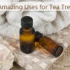 12 Amazing Uses for Tea Tree Oil