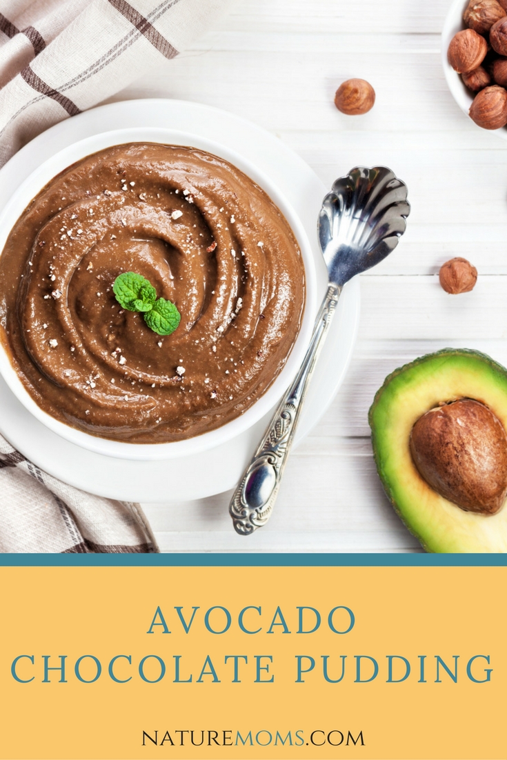 Avocado Chocolate Pudding