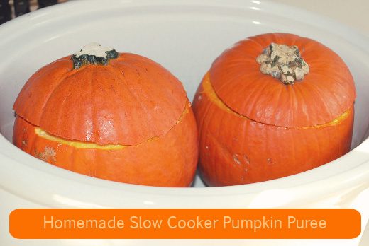 Easy Crock Pot Pumpkin Puree Recipe