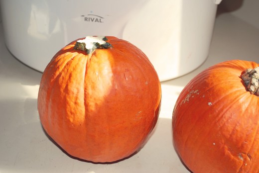Making Pumpkin Puree