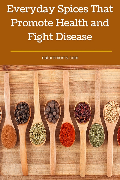 Everyday Spices That Promote Health and Fight Disease