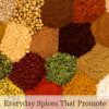 Everyday Spices That Promote Health and Fight Disease