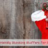 Eco Stocking Stuffer Ideas for Adults