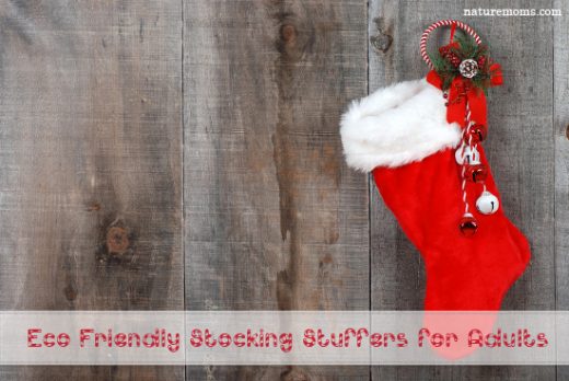 Eco Stocking Stuffer Ideas for Adults