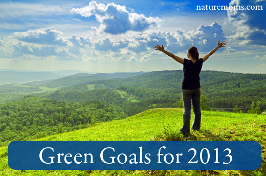 Green Goals and Resolutions for 2013