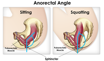 anorectalangle-350