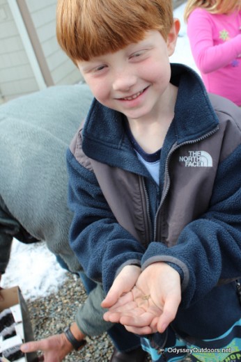 planting seeds with children