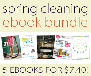 spring cleaning bundle