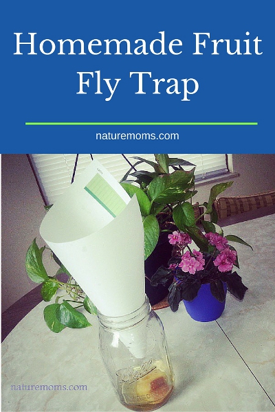 Homemade Fruit Fly Trap