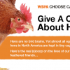 Give A Cluck – Choose Cage Free Eggs